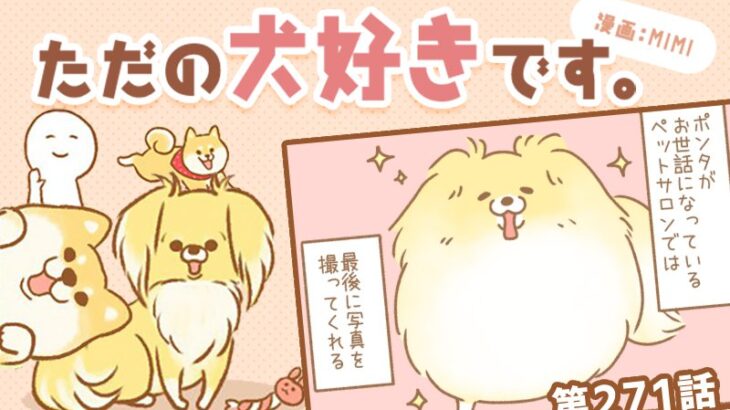 ただの犬好きです。【第271話】「なして…」(ブログ)