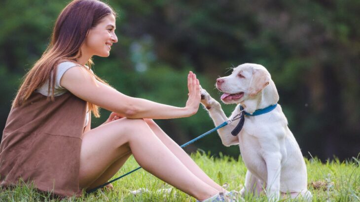 『犬は飼い主に似る』って本当なの？表情や気質への影響や犬本来の性格に合わせた注意点を研究結果と併せてご紹介(ブログ)