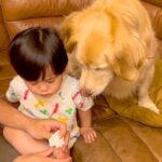 『どうしたの…？』赤ちゃんがケガしてしまった結果、大型犬が…とんでもなく優しい『心配そうに見つめる姿』が29万再生「最後ニコニコで素敵」(ブログ)