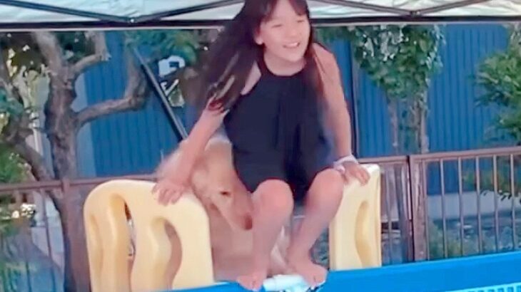夏、女の子が『大型犬とプールで遊んだ』結果…順番待ちできずに見せた『まさかの行動』が63万再生「笑ったｗ」「頭突きされてて草」と爆笑(ブログ)