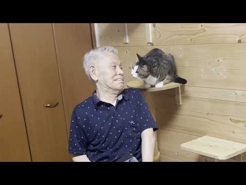 猫が大好きだったおじいちゃんが・・・(YouTube)