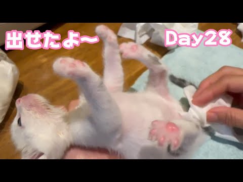 出せたよ～ おれっち頑張るよ～ Day28 TetoNoji132 Hana 95 ThirdNimo62 Neo28  2024 08 15 1(YouTube)