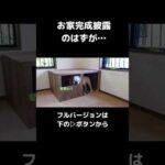 こんなはずじゃなかった…#shorts #切り抜き #犬 #犬のいる暮らし(YouTube)