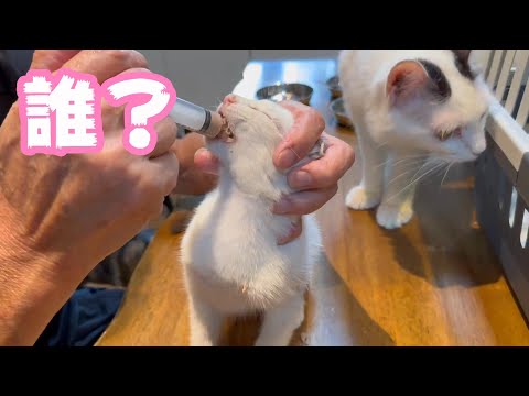 誰？ Who are you? 2024 08 04 2(YouTube)