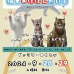 立ち猫の山本正義さんも参加！写真家・料理家・猫雑貨作家によるコラボイベントの第2弾が開催(ブログ)