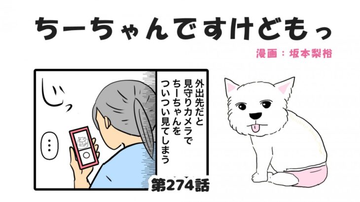 ちーちゃんですけどもっ【第274話】「発見した事」(ブログ)