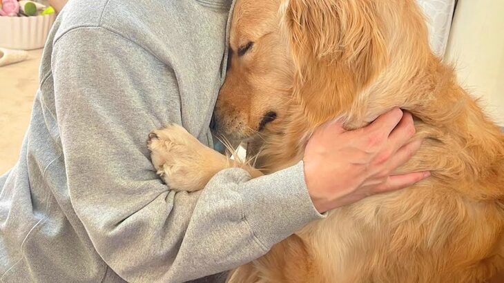 お父さんが仕事に戻ろうとした結果、大型犬が…寂しくて見せた『引き止める方法』が愛おしすぎると45万再生「彼女感すごい」「まるでカップル」(ブログ)
