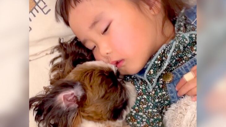 『幼い女の子と保護犬』が一緒に育った結果…まるで姉妹のような『絆を深める光景』が2万再生「尊すぎて泣ける」「可愛いが溢れて最高」(ブログ)