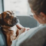 犬が飼い主の様子を気にしている時のサイン５つ　愛犬からの『気遣い』を知って感謝の気持ちを伝えよう(ブログ)