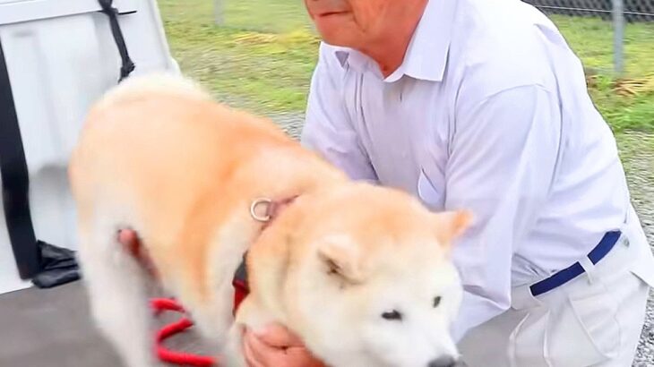 おじいちゃんが『犬と一緒に花植えに行った』結果…思った以上にはしゃぐ光景が幸せ過ぎると47万再生「そっちがはしゃぐんかいｗ」と絶賛(ブログ)