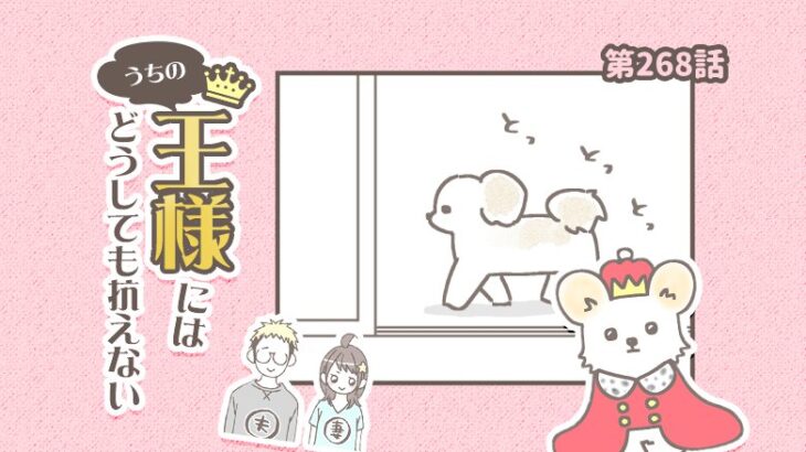 うちの王様にはどうしても抗えない【第268話】「後ろ歩き」(ブログ)