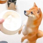 爆速でごはんを食べる犬に『早食い防止皿』を使ってみた結果…まさかの非常事態が3万4000再生「おてて器用ｗ」「思わぬハプニング笑」(ブログ)
