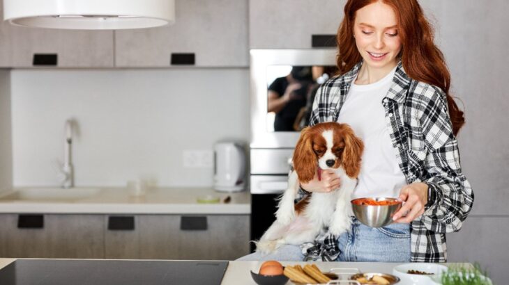愛犬に『手作りご飯』を与えるときの絶対NG行為5つ　把握すべき危険な食材やデメリットまで(ブログ)