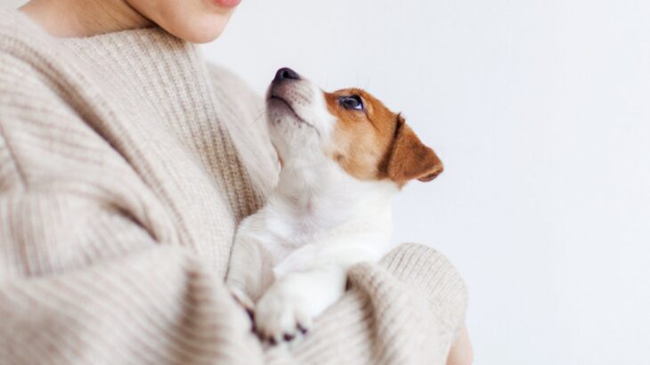犬を飼う前に知っておくべき『理想と現実』とは？理想が高すぎると自分や愛犬を苦しめることに…(ブログ)