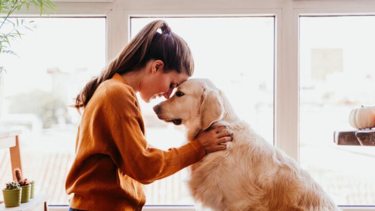 犬を飼うと『人生が変わる』？そう言われている理由や迎える前に必ず知っておくべきことまで(ブログ)