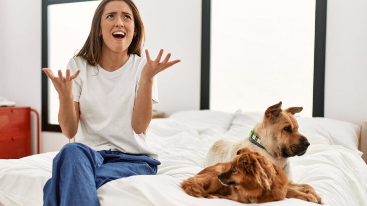 犬にイライラしても絶対やってはいけないタブー行為4つ　愛犬をストレスの捌け口にしないで(ブログ)