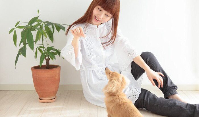 犬がお利口に育つのは遺伝的なもの？それとも育て方？(ブログ)