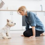犬への間違った『ダメ』の使い方4選　叱られていることが伝わらないNG行為まで解説(ブログ)