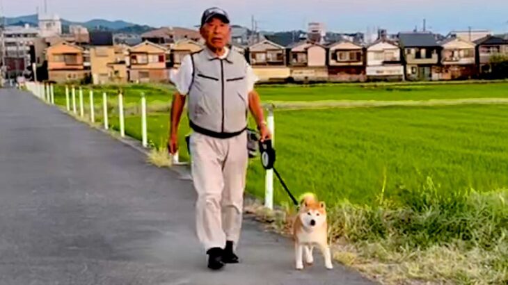 『思ってたのと違う…』犬の散歩中に他人のフリをしたら…ドッキリの検証結果が衝撃的すぎると1000万再生「天然すぎて草」「お腹痛いｗ」(ブログ)