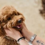 犬を安心させられる『声のトーン』ってどれくらい？実は苦手な声や注意点、意識すべきことまでご紹介(ブログ)