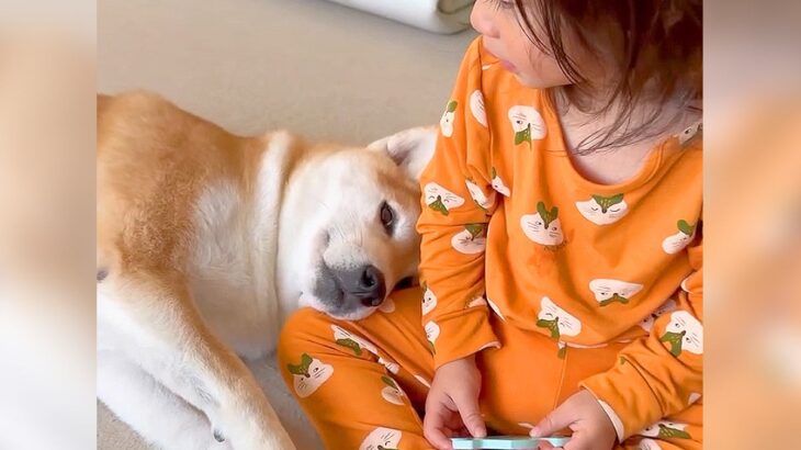 犬が『ご機嫌ナナメで泣いている女の子』を見たら…まさかの『優しさあふれる行動』と可愛い結末が4万8000再生「ほのぼのする」と話題に(ブログ)