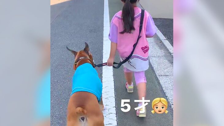 幼稚園に行く女の子と犬が毎日していること…最高過ぎる『通園の様子』が9万再生「素敵な時間」「たくましいボディーガード」と賞賛の声(ブログ)