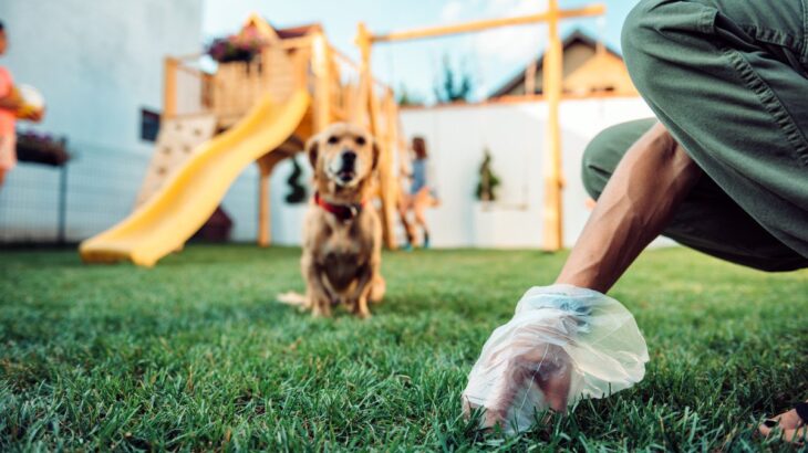 犬が『ウンチ後』にする行動4選　トイレハイ？謎行動を繰り返す理由や注意すべき行為まで(ブログ)
