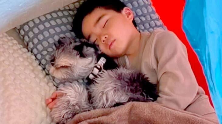 テントの中で寝る『男の子と犬』を覗いてみたら…必ず『腕枕で寝る』光景が仲良しすぎると5万再生「体勢変わってもずっとしてる」「可愛すぎ」(ブログ)