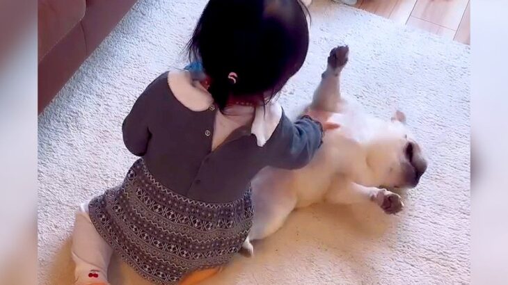 赤ちゃんが犬を撫でたら…予想外な『無駄に激しい動き』が可愛すぎると24万再生「楽しそうな声出してて萌えた」「胸筋ムキムキでジワるｗ」(ブログ)