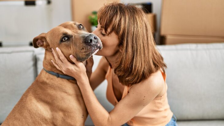 犬が『飼い主のことを苦手になる』原因4選　避けているときにする行動や嫌われる人の共通点まで(ブログ)