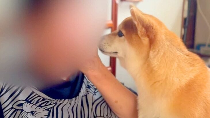 犬を『寂しがり屋のおばあちゃん』に会わせた結果…まるで孫のような『愛が止まらない様子』に絶賛の声「ジブリみたい」「おばあちゃん孝行」(ブログ)