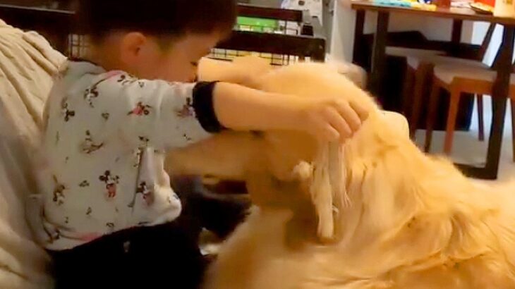 『3歳の男の子が大型犬と遊んだら…』まさかの手慣れ過ぎている姿が”猛獣遣い”のようだと15万再生「可愛い」「猛獣に使われている気も…ｗ」(ブログ)