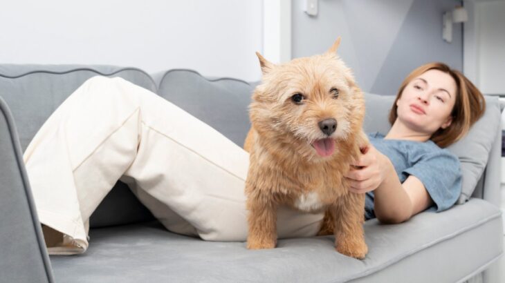 犬が『ソワソワ』しているときに考えられる理由とは？愛犬の気持ちを落ち着かせる方法はあるの？(ブログ)