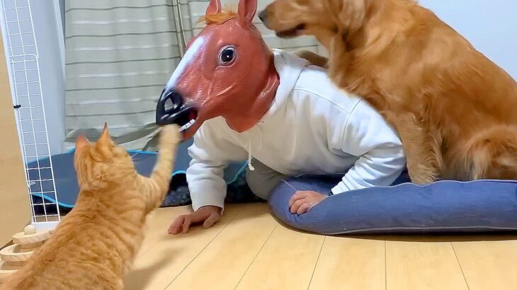 犬と猫は『部屋に馬の化け物がいたら』どうする？検証した結果…まさかの反応と可愛い結末が67万再生「お父さん最高ｗ」「襲われるの爆笑」(ブログ)