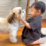 仲良しすぎる『犬と赤ちゃん』を撮影したら…まるで天使のような『ふたりのやり取り』が24万2000再生　可愛くて微笑ましい光景に悶絶(ブログ)