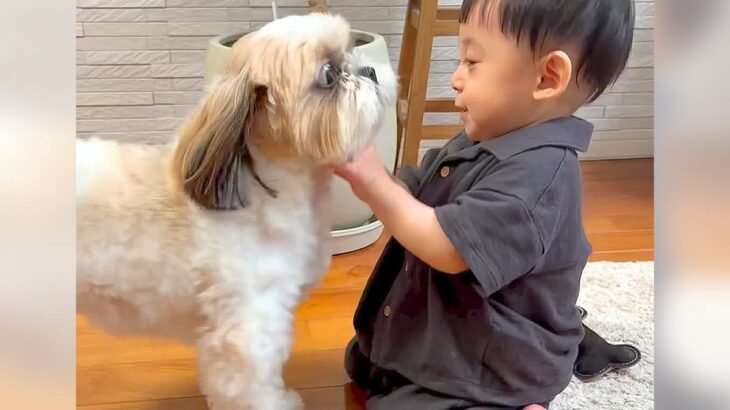 仲良しすぎる『犬と赤ちゃん』を撮影したら…まるで天使のような『ふたりのやり取り』が24万2000再生　可愛くて微笑ましい光景に悶絶(ブログ)
