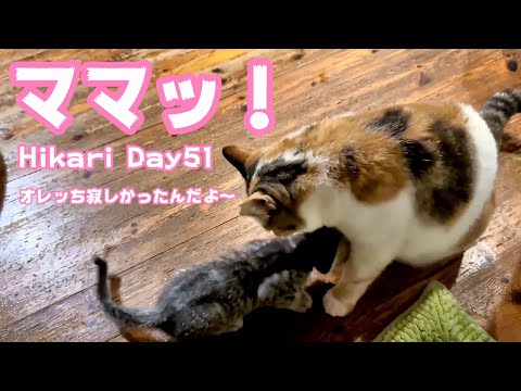 ママッ！ オレッちは寂しかったんだよ～  Hikari Day51 Hana148 OtoRinSarah105 Neo76  2024 09 29 1(YouTube)