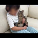 女の子が初めて子猫に会いに来たら仲良くなりすぎてまさかのこうなっちゃいました…笑(YouTube)