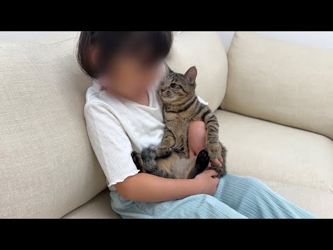 女の子が初めて子猫に会いに来たら仲良くなりすぎてまさかのこうなっちゃいました…笑(YouTube)