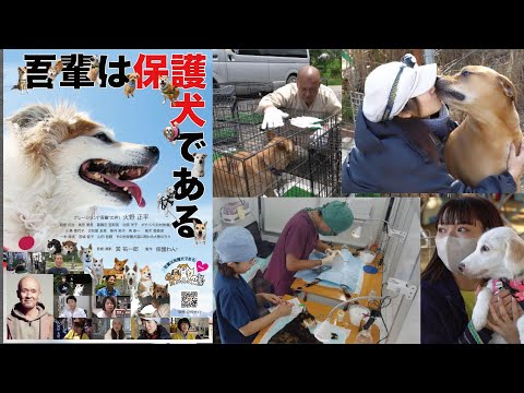 ポチパパ出演映画『吾輩は保護犬である』大阪上映会のお知らせ(YouTube)