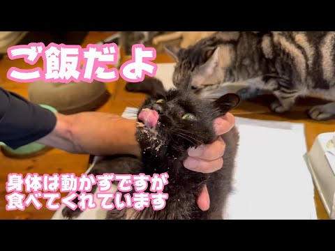ご飯だよ 身体は動かないけど食べる気力はあります　2024 09 10 1(YouTube)