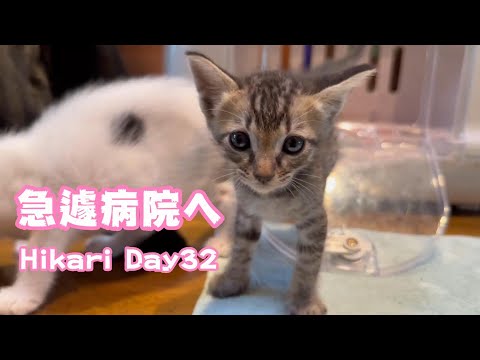 2024 09 04 2  急遽病院へ ちょっと焦ってます Hikari Day32(YouTube)