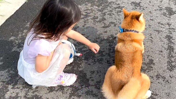 3歳の女の子が『散歩で動かなくなった犬』にした行動…まさかの『説得を試みる光景』が尊くて泣けると16万再生「涙が…」「見習わないと」(ブログ)