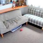 『お留守番中の超大型犬が脱走した』と思っていたら…カメラが捉えた『まさかの光景』に爆笑「シンデレラフィットで草」「完全に寝起きの顔ｗ」(ブログ)