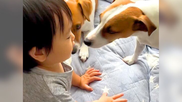 小さな男の子が保育園に行く前に…いつも犬としている『いってらっしゃいの挨拶』に悶絶「なんて愛おしいの」「チューたまらん」と絶賛(ブログ)