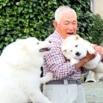 『犬から愛され過ぎているおじいちゃん』が話題！想像を超えた『スーパーアイドルな光景』が110万表示の反響「大人気で可愛いｗ」と羨望の声(ブログ)