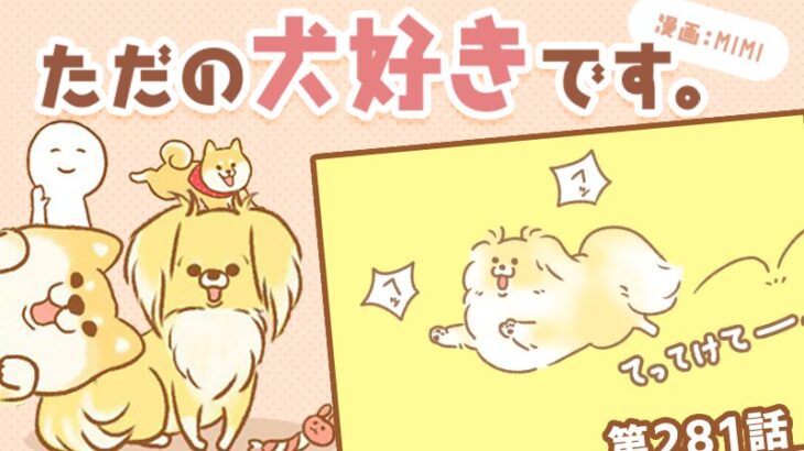 ただの犬好きです。【第281話】「かまって？」(ブログ)