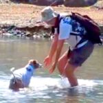 おじいちゃんとじゃれあう元保護犬…『還暦と2歳のやり取り』がまるで孫のようだと注目集まる「抱きつく姿が可愛い」「ほっこりした」と絶賛(ブログ)