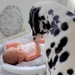 パパが赤ちゃんを『沐浴』していたら大型犬が…まさかの『優しすぎる姿』が尊いと話題に「心配してるのいい子すぎる」「偉い」と賞賛の声(ブログ)