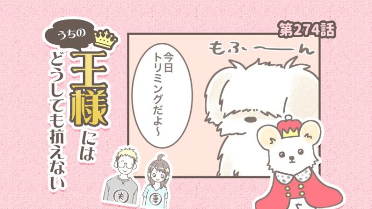 うちの王様にはどうしても抗えない【第274話】「別犬すぎて」(ブログ)